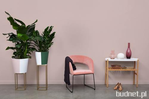 Beckers Designer Colour